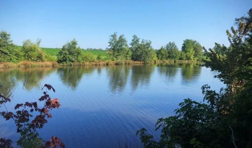 Photo of SOLD!!  83 Acres of Timber and Hunting Land For Sale in Warren County NC!