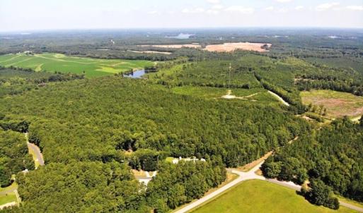 Photo of SOLD!!  83 Acres of Timber and Hunting Land For Sale in Warren County NC!