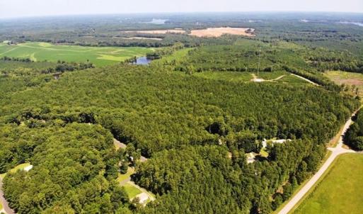 Photo of SOLD!!  83 Acres of Timber and Hunting Land For Sale in Warren County NC!