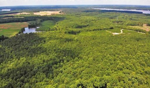 Photo of SOLD!!  83 Acres of Timber and Hunting Land For Sale in Warren County NC!