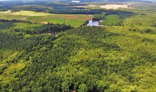 Photo of SOLD!!  83 Acres of Timber and Hunting Land For Sale in Warren County NC!