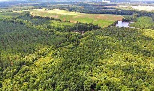Photo of SOLD!!  83 Acres of Timber and Hunting Land For Sale in Warren County NC!