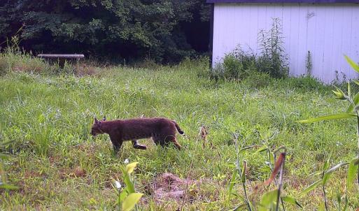 Photo of SOLD!  19 Acres of Residential Hunting Land For Sale in Pittsylvania County VA!