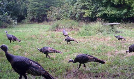 Photo of SOLD!  19 Acres of Residential Hunting Land For Sale in Pittsylvania County VA!