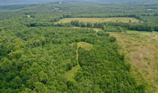 Photo of SOLD!  19 Acres of Residential Hunting Land For Sale in Pittsylvania County VA!