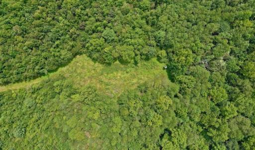 Photo of SOLD!  19 Acres of Residential Hunting Land For Sale in Pittsylvania County VA!