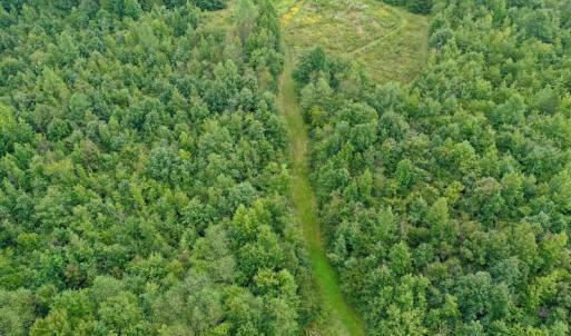 Photo of SOLD!  19 Acres of Residential Hunting Land For Sale in Pittsylvania County VA!