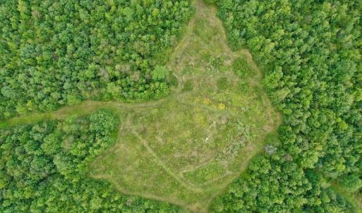 Photo of SOLD!  19 Acres of Residential Hunting Land For Sale in Pittsylvania County VA!