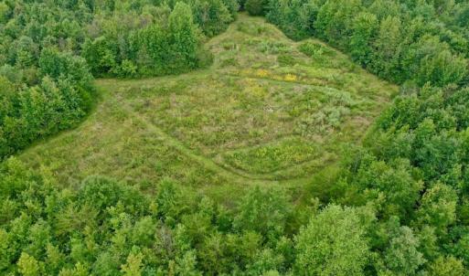 Photo of SOLD!  19 Acres of Residential Hunting Land For Sale in Pittsylvania County VA!