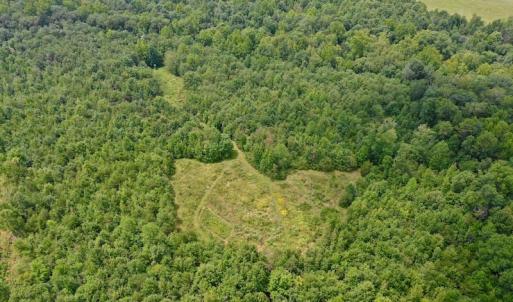 Photo of SOLD!  19 Acres of Residential Hunting Land For Sale in Pittsylvania County VA!