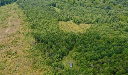 Photo of SOLD!  19 Acres of Residential Hunting Land For Sale in Pittsylvania County VA!