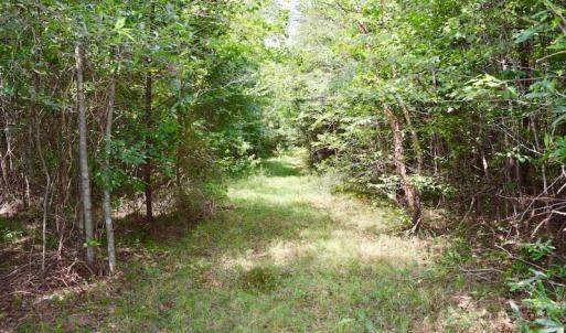Photo of SOLD!  19 Acres of Residential Hunting Land For Sale in Pittsylvania County VA!