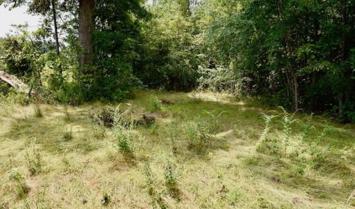 Photo of SOLD!  19 Acres of Residential Hunting Land For Sale in Pittsylvania County VA!