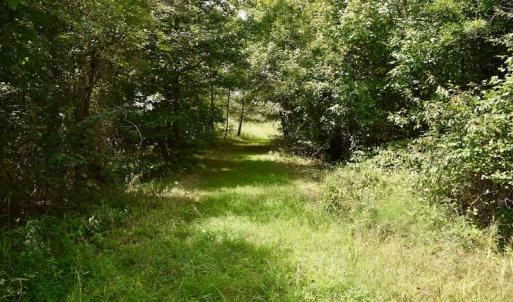 Photo of SOLD!  19 Acres of Residential Hunting Land For Sale in Pittsylvania County VA!