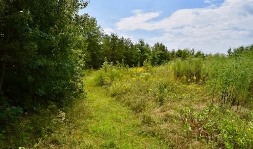 Photo of SOLD!  19 Acres of Residential Hunting Land For Sale in Pittsylvania County VA!