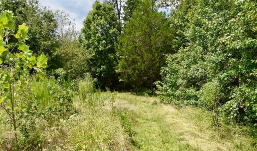 Photo of SOLD!  19 Acres of Residential Hunting Land For Sale in Pittsylvania County VA!
