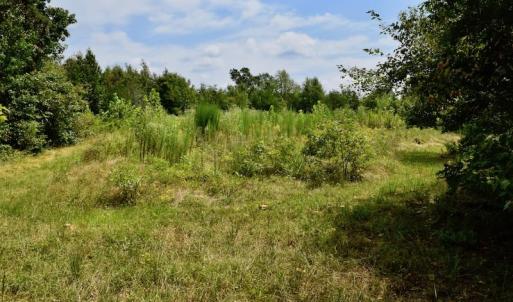 Photo of SOLD!  19 Acres of Residential Hunting Land For Sale in Pittsylvania County VA!