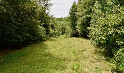 Photo of SOLD!  19 Acres of Residential Hunting Land For Sale in Pittsylvania County VA!