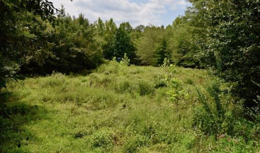 Photo of SOLD!  19 Acres of Residential Hunting Land For Sale in Pittsylvania County VA!