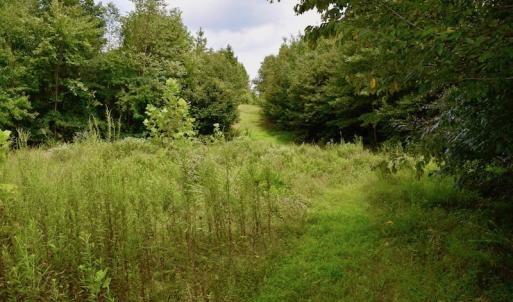 Photo of SOLD!  19 Acres of Residential Hunting Land For Sale in Pittsylvania County VA!