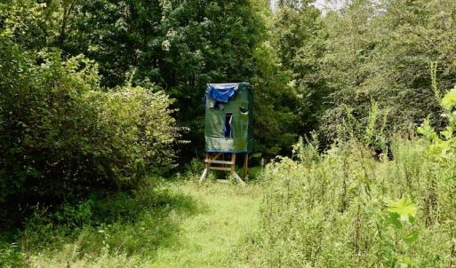 Photo of SOLD!  19 Acres of Residential Hunting Land For Sale in Pittsylvania County VA!