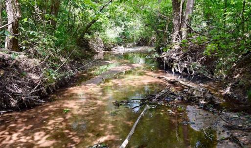 Photo of SOLD!  19 Acres of Residential Hunting Land For Sale in Pittsylvania County VA!