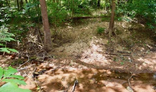 Photo of SOLD!  19 Acres of Residential Hunting Land For Sale in Pittsylvania County VA!
