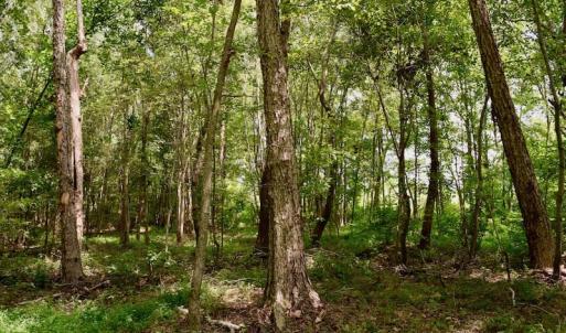 Photo of SOLD!  19 Acres of Residential Hunting Land For Sale in Pittsylvania County VA!