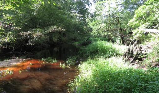 Photo of SOLD!  29 Acres of Hunting and Farm Land For Sale in Duplin County NC!