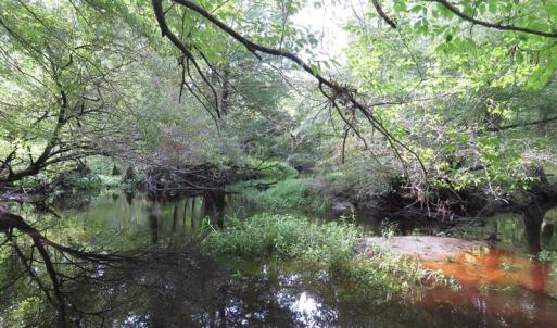 Photo of SOLD!  29 Acres of Hunting and Farm Land For Sale in Duplin County NC!