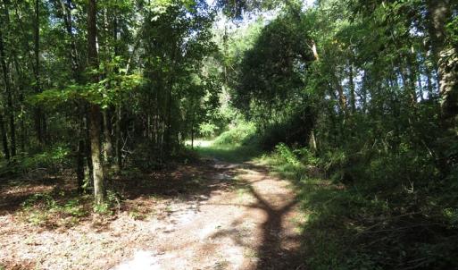 Photo of SOLD!  29 Acres of Hunting and Farm Land For Sale in Duplin County NC!