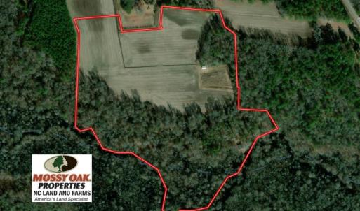 Photo of SOLD!  29 Acres of Hunting and Farm Land For Sale in Duplin County NC!