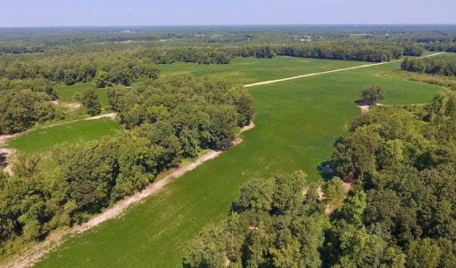 Photo of SOLD!  210 Acres of Farm and Timber Land For Sale in Johnston County NC!