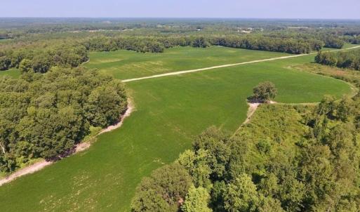 Photo of SOLD!  210 Acres of Farm and Timber Land For Sale in Johnston County NC!