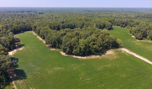 Photo of SOLD!  210 Acres of Farm and Timber Land For Sale in Johnston County NC!