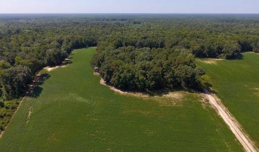 Photo of SOLD!  210 Acres of Farm and Timber Land For Sale in Johnston County NC!