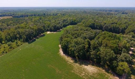 Photo of SOLD!  210 Acres of Farm and Timber Land For Sale in Johnston County NC!