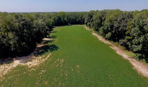 Photo of SOLD!  210 Acres of Farm and Timber Land For Sale in Johnston County NC!