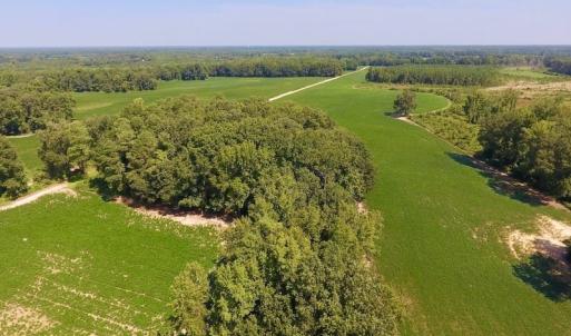 Photo of SOLD!  210 Acres of Farm and Timber Land For Sale in Johnston County NC!