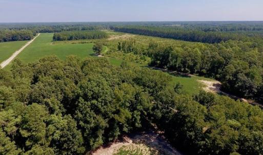 Photo of SOLD!  210 Acres of Farm and Timber Land For Sale in Johnston County NC!