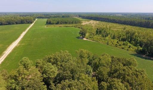 Photo of SOLD!  210 Acres of Farm and Timber Land For Sale in Johnston County NC!