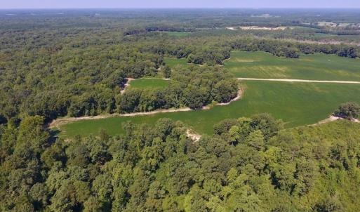 Photo of SOLD!  210 Acres of Farm and Timber Land For Sale in Johnston County NC!