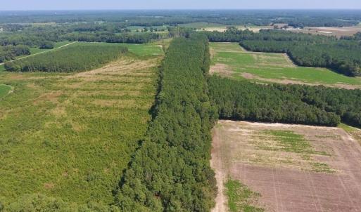 Photo of SOLD!  210 Acres of Farm and Timber Land For Sale in Johnston County NC!