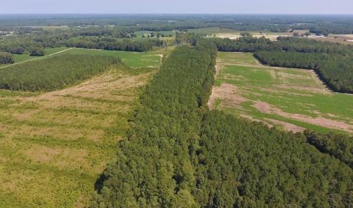 Photo of SOLD!  210 Acres of Farm and Timber Land For Sale in Johnston County NC!