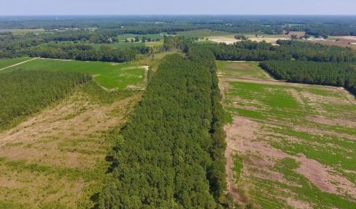 Photo of SOLD!  210 Acres of Farm and Timber Land For Sale in Johnston County NC!