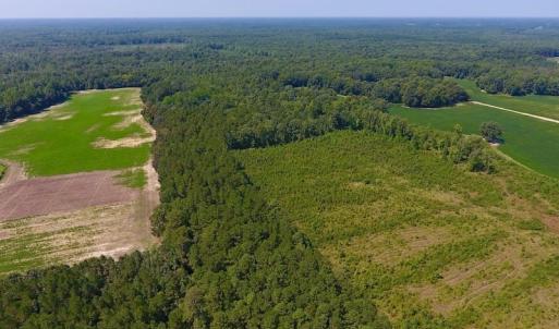 Photo of SOLD!  210 Acres of Farm and Timber Land For Sale in Johnston County NC!