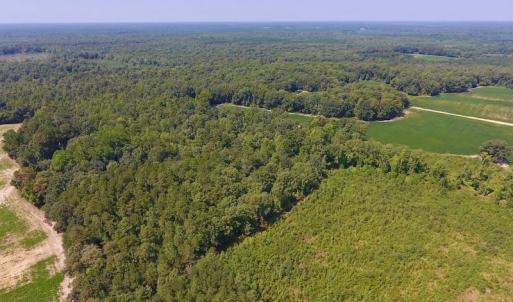 Photo of SOLD!  210 Acres of Farm and Timber Land For Sale in Johnston County NC!