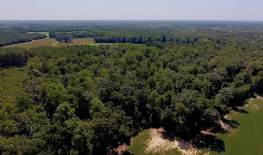 Photo of SOLD!  210 Acres of Farm and Timber Land For Sale in Johnston County NC!