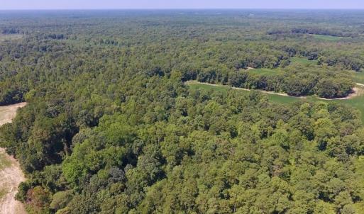 Photo of SOLD!  210 Acres of Farm and Timber Land For Sale in Johnston County NC!