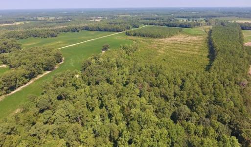 Photo of SOLD!  210 Acres of Farm and Timber Land For Sale in Johnston County NC!